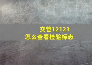 交管12123怎么查看检验标志