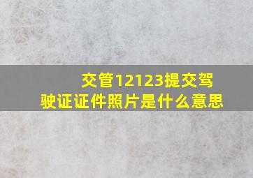 交管12123提交驾驶证证件照片是什么意思