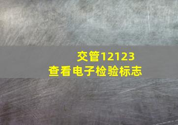 交管12123查看电子检验标志