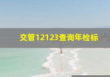 交管12123查询年检标