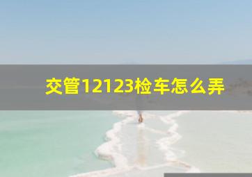 交管12123检车怎么弄