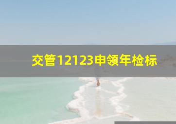 交管12123申领年检标