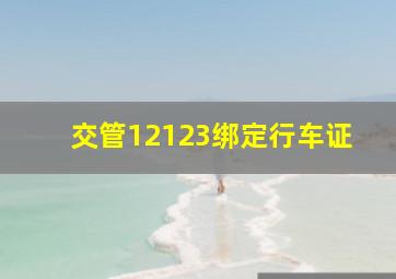 交管12123绑定行车证