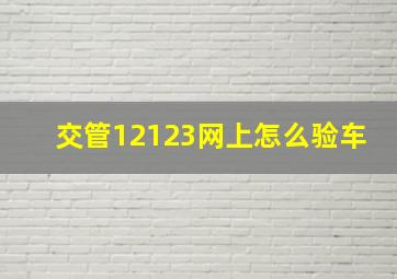 交管12123网上怎么验车