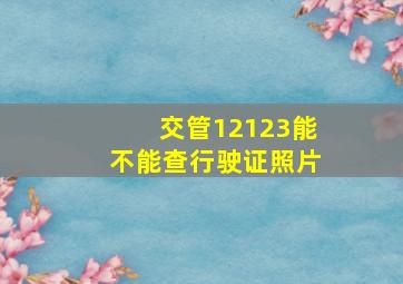 交管12123能不能查行驶证照片