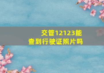 交管12123能查到行驶证照片吗