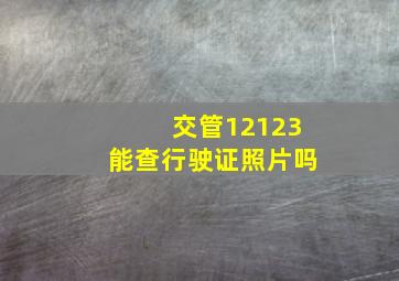 交管12123能查行驶证照片吗