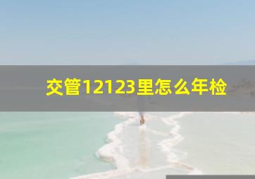 交管12123里怎么年检