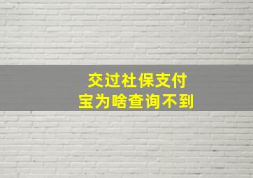 交过社保支付宝为啥查询不到