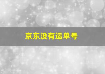 京东没有运单号