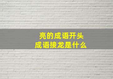 亮的成语开头成语接龙是什么