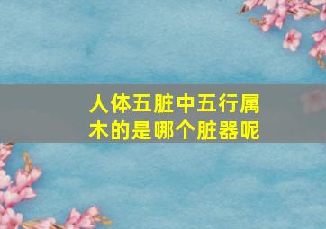 人体五脏中五行属木的是哪个脏器呢