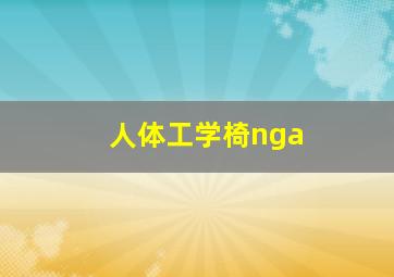 人体工学椅nga