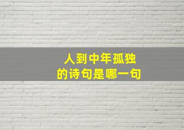 人到中年孤独的诗句是哪一句