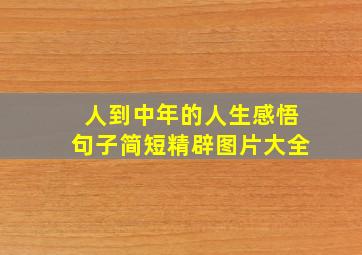 人到中年的人生感悟句子简短精辟图片大全