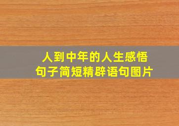 人到中年的人生感悟句子简短精辟语句图片