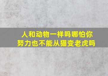 人和动物一样吗哪怕你努力也不能从猫变老虎吗