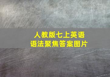 人教版七上英语语法聚焦答案图片