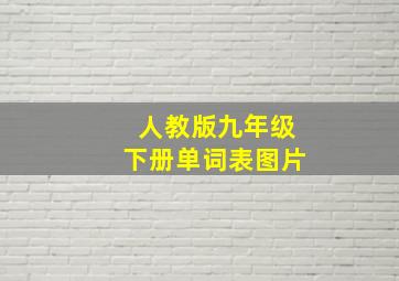 人教版九年级下册单词表图片