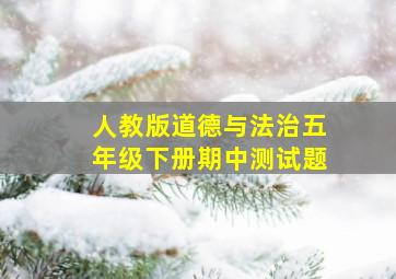 人教版道德与法治五年级下册期中测试题