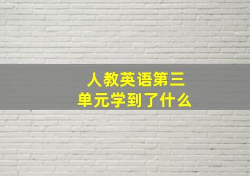 人教英语第三单元学到了什么