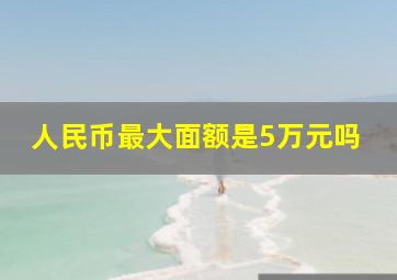 人民币最大面额是5万元吗