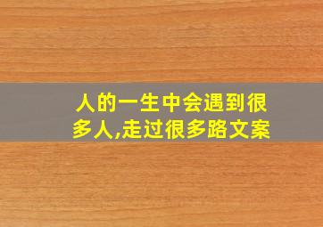 人的一生中会遇到很多人,走过很多路文案