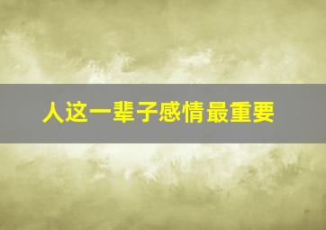 人这一辈子感情最重要