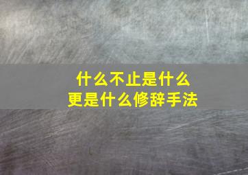 什么不止是什么更是什么修辞手法