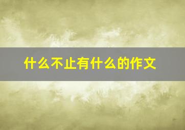 什么不止有什么的作文