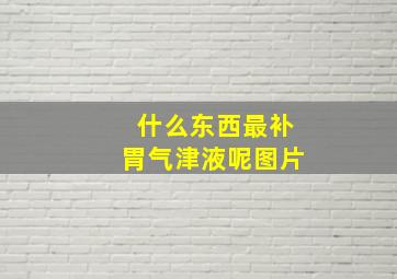 什么东西最补胃气津液呢图片