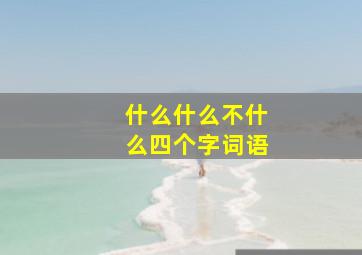 什么什么不什么四个字词语