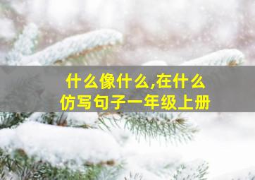 什么像什么,在什么仿写句子一年级上册