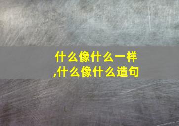 什么像什么一样,什么像什么造句