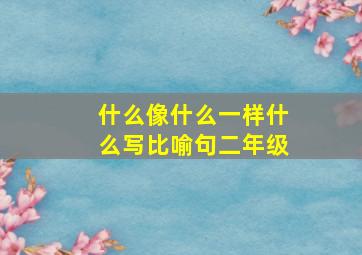 什么像什么一样什么写比喻句二年级