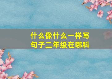 什么像什么一样写句子二年级在哪科