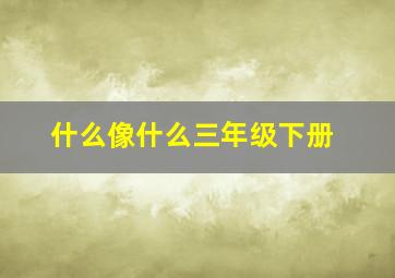 什么像什么三年级下册