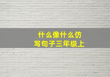 什么像什么仿写句子三年级上