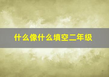 什么像什么填空二年级