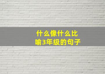 什么像什么比喻3年级的句子