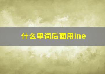 什么单词后面用ine