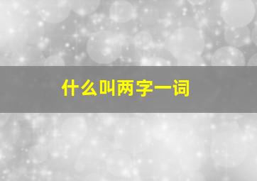 什么叫两字一词