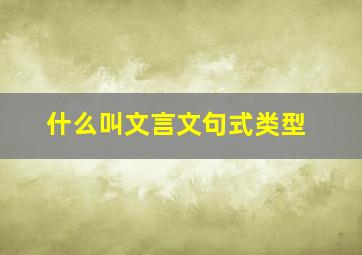 什么叫文言文句式类型