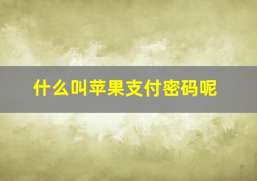 什么叫苹果支付密码呢