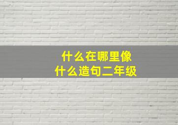 什么在哪里像什么造句二年级