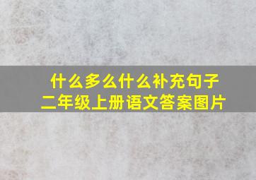 什么多么什么补充句子二年级上册语文答案图片