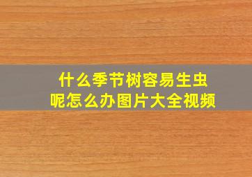 什么季节树容易生虫呢怎么办图片大全视频