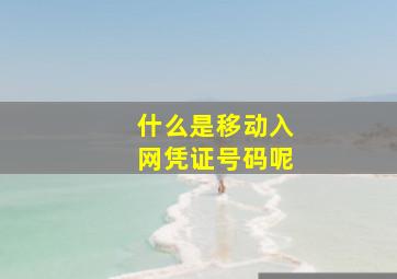 什么是移动入网凭证号码呢