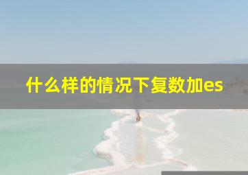 什么样的情况下复数加es