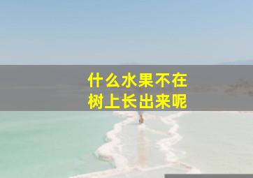 什么水果不在树上长出来呢